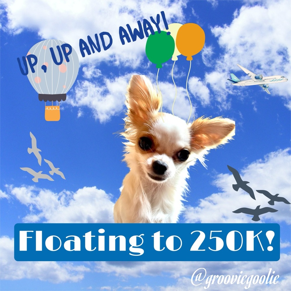 💜 Follow me to 250K! 💗